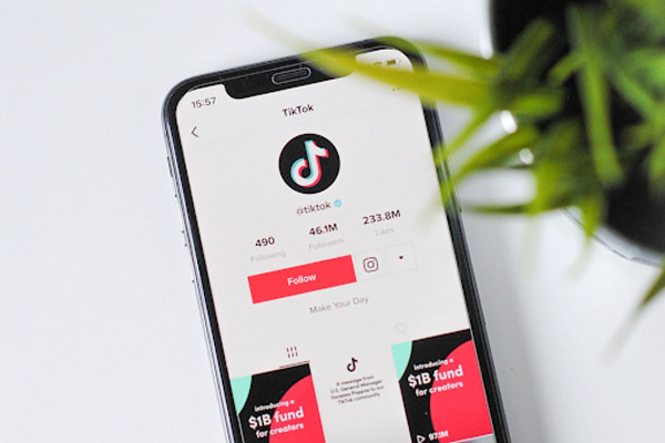 Xây dựng kênh TikTok từ con số 0 và những điều bạn cần biết