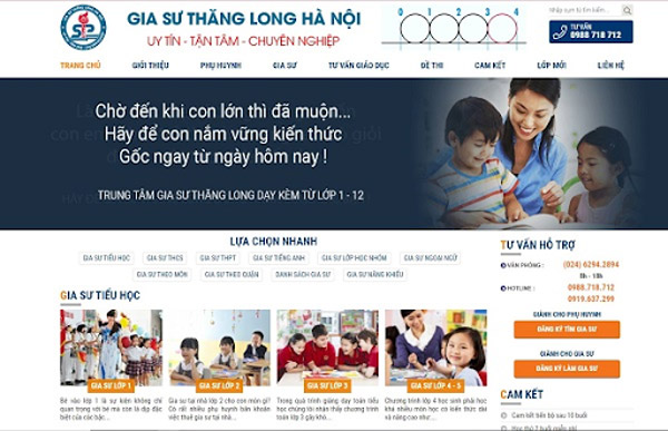 Có nhiều loại website phù hợp với nhiều mục đích khác nhau