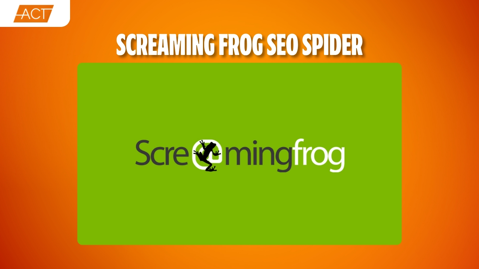 audit website